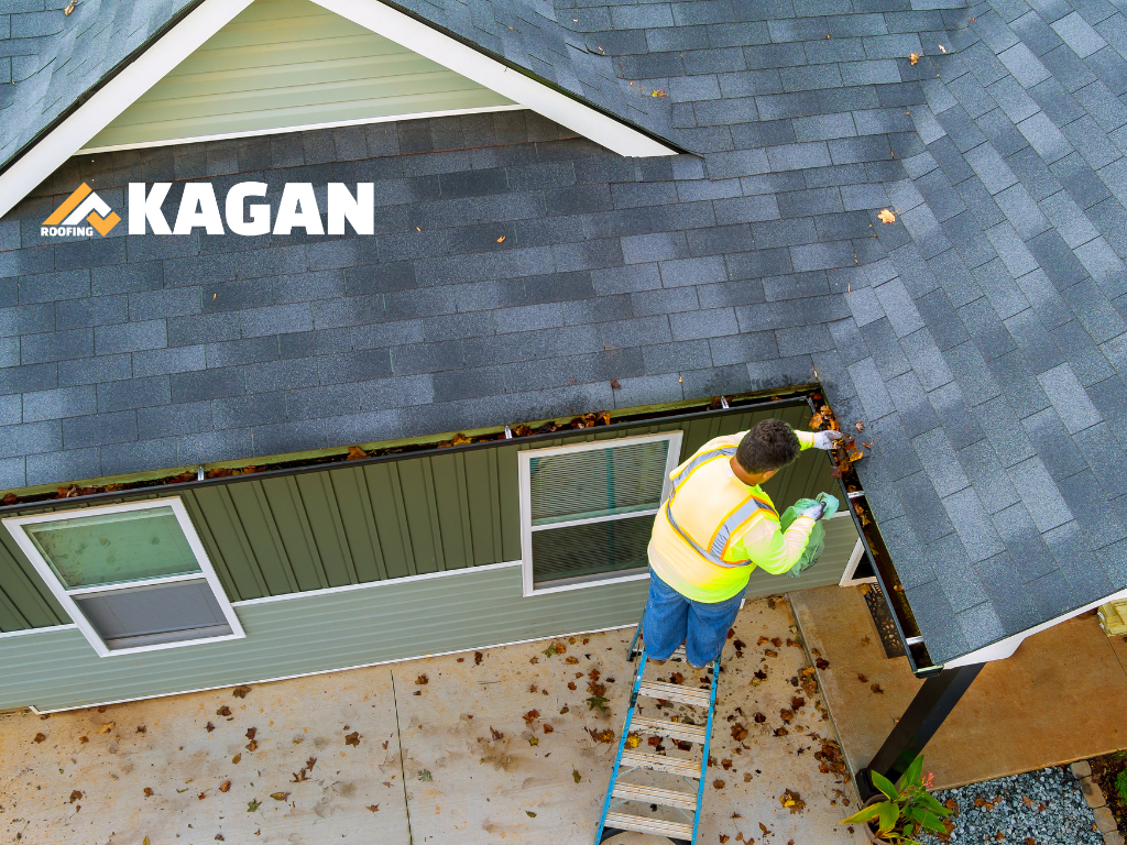 Gutter & Downpipe Replacement